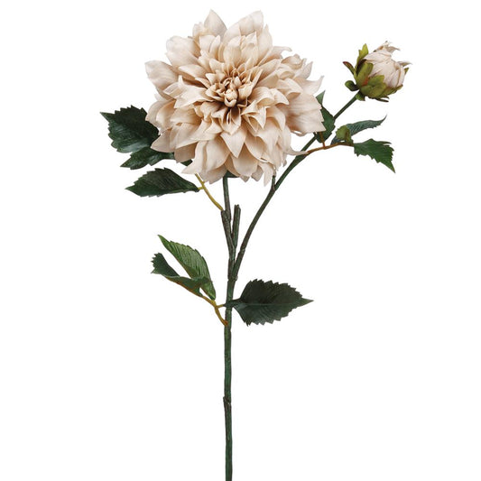 Dahlia Spray - Beige