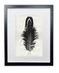 Mallard Duck Feather Print