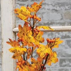 Fall Leaf Berry Pick