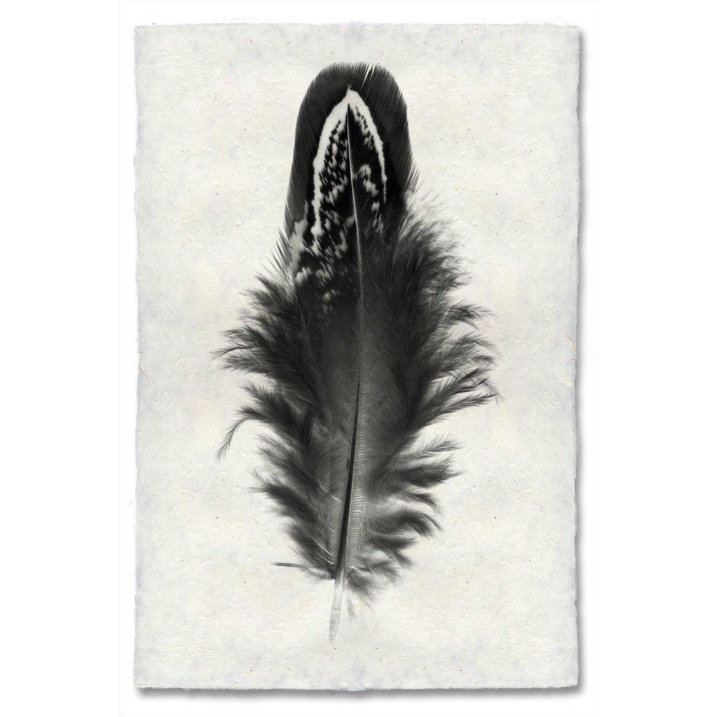 Mallard Duck Feather Print