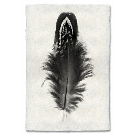 Mallard Duck Feather Print (Online Exclusive)