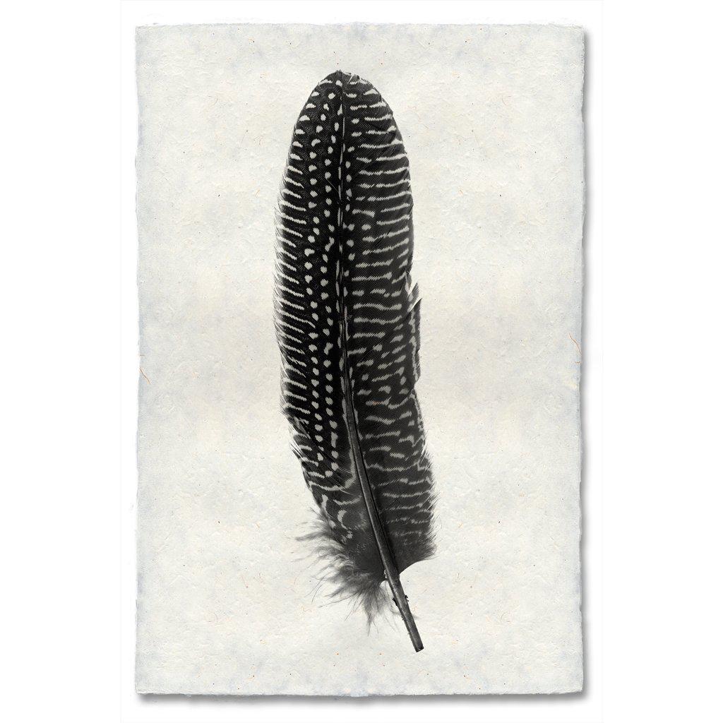 Pheasant Feather Print