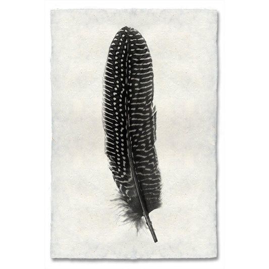 Pheasant Feather Print (Online Exclusive)