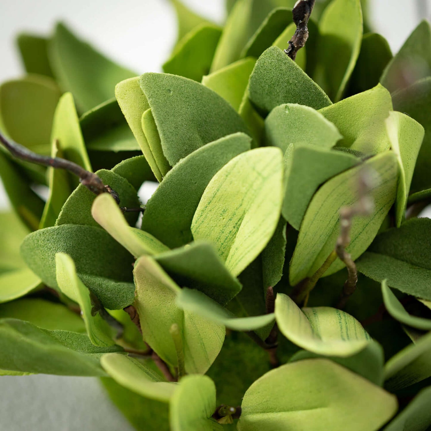 Everyday Green Wreath
