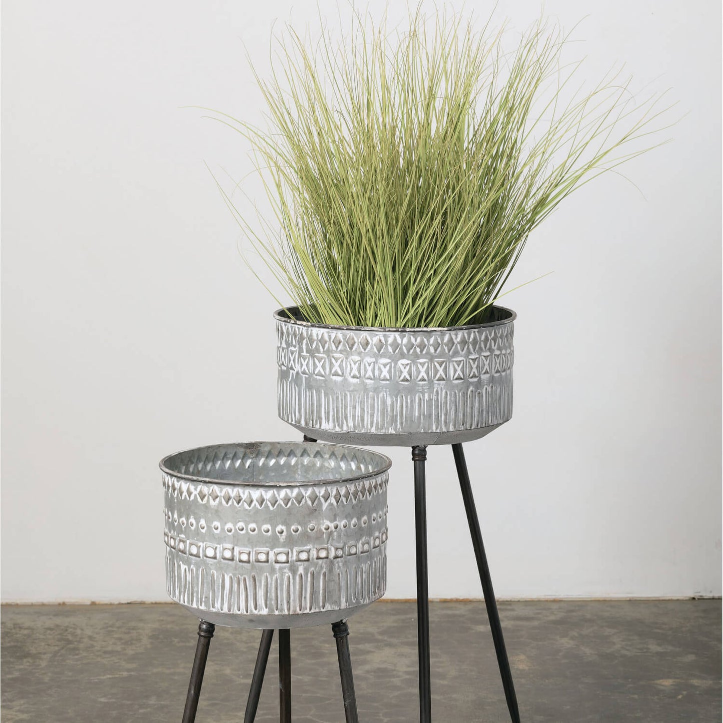 Potted Onion Grass