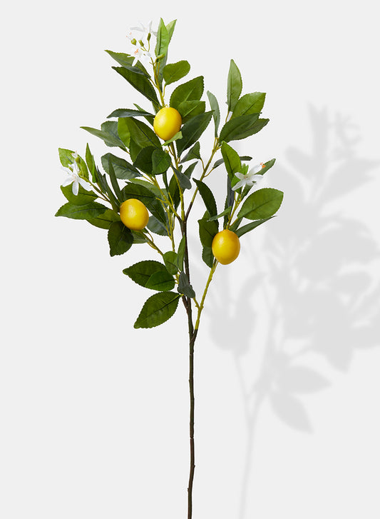 Lemon Branch