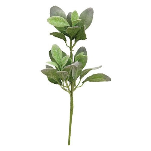 Fuzzy Lamb's Ear Pick