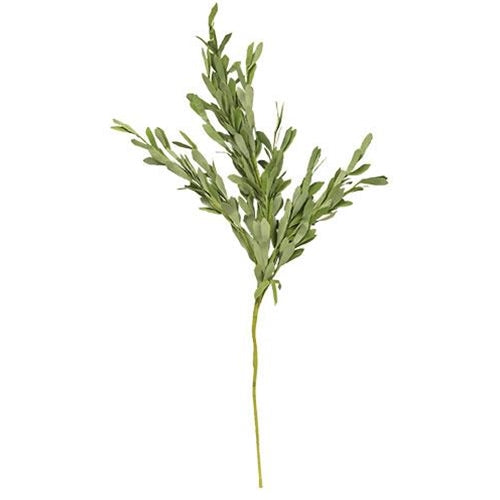 Foamy Boxwood Spray