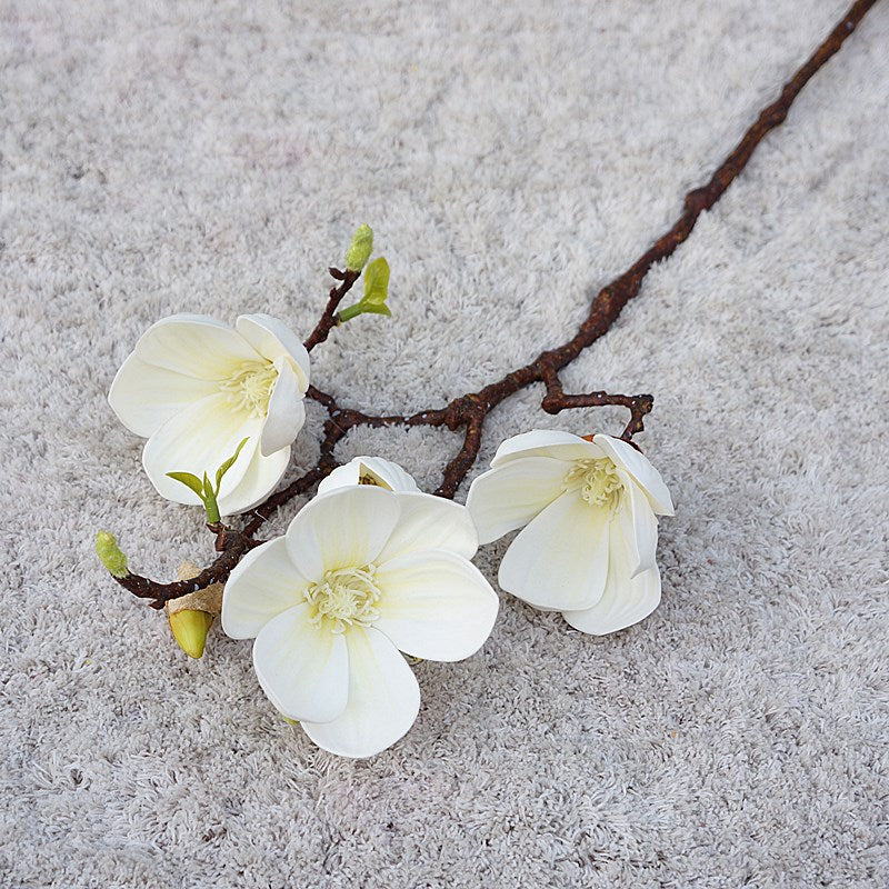 Magnolia 3-Head Branch