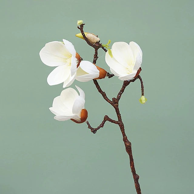 Magnolia 3-Head Branch