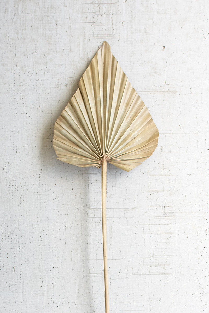 Dried Palm Spear