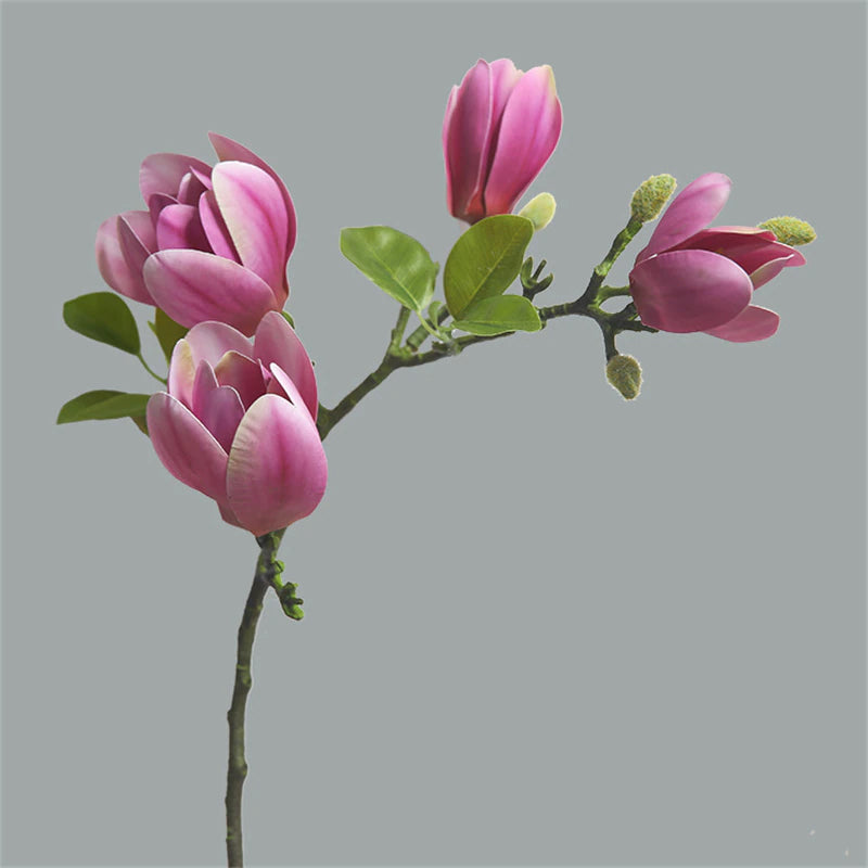 Magnolia 3-Head Branch