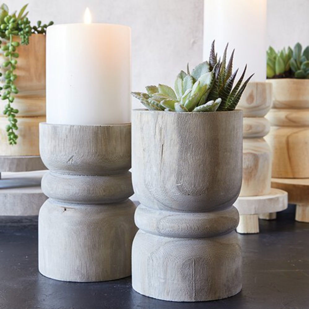 Succulent Pillar - Paulownia Wood - Medium