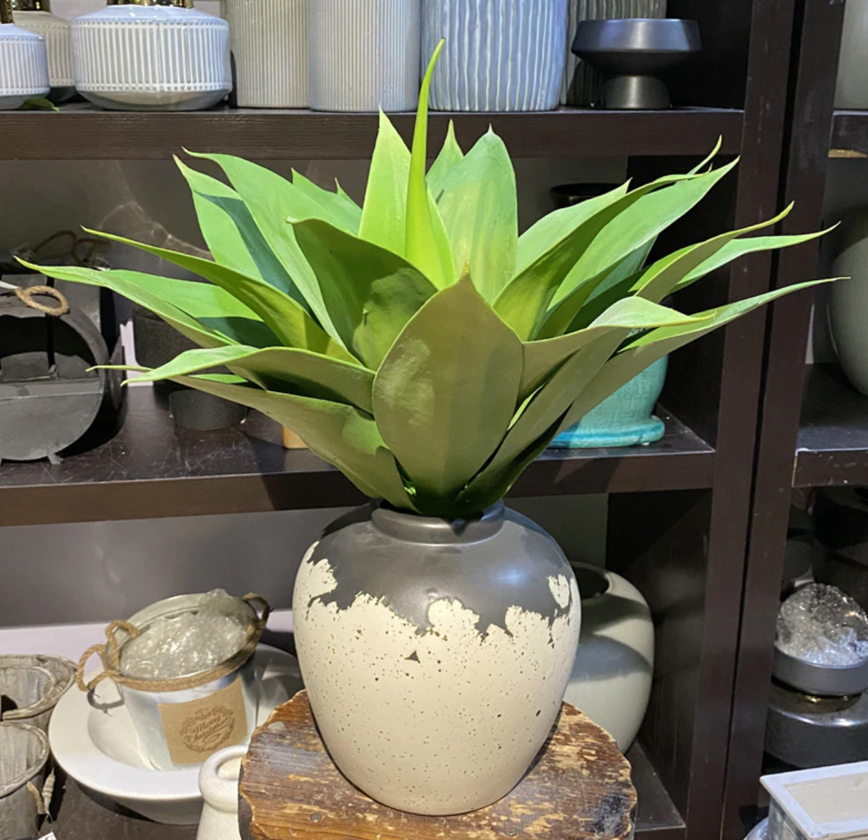 Faux Agave Plant