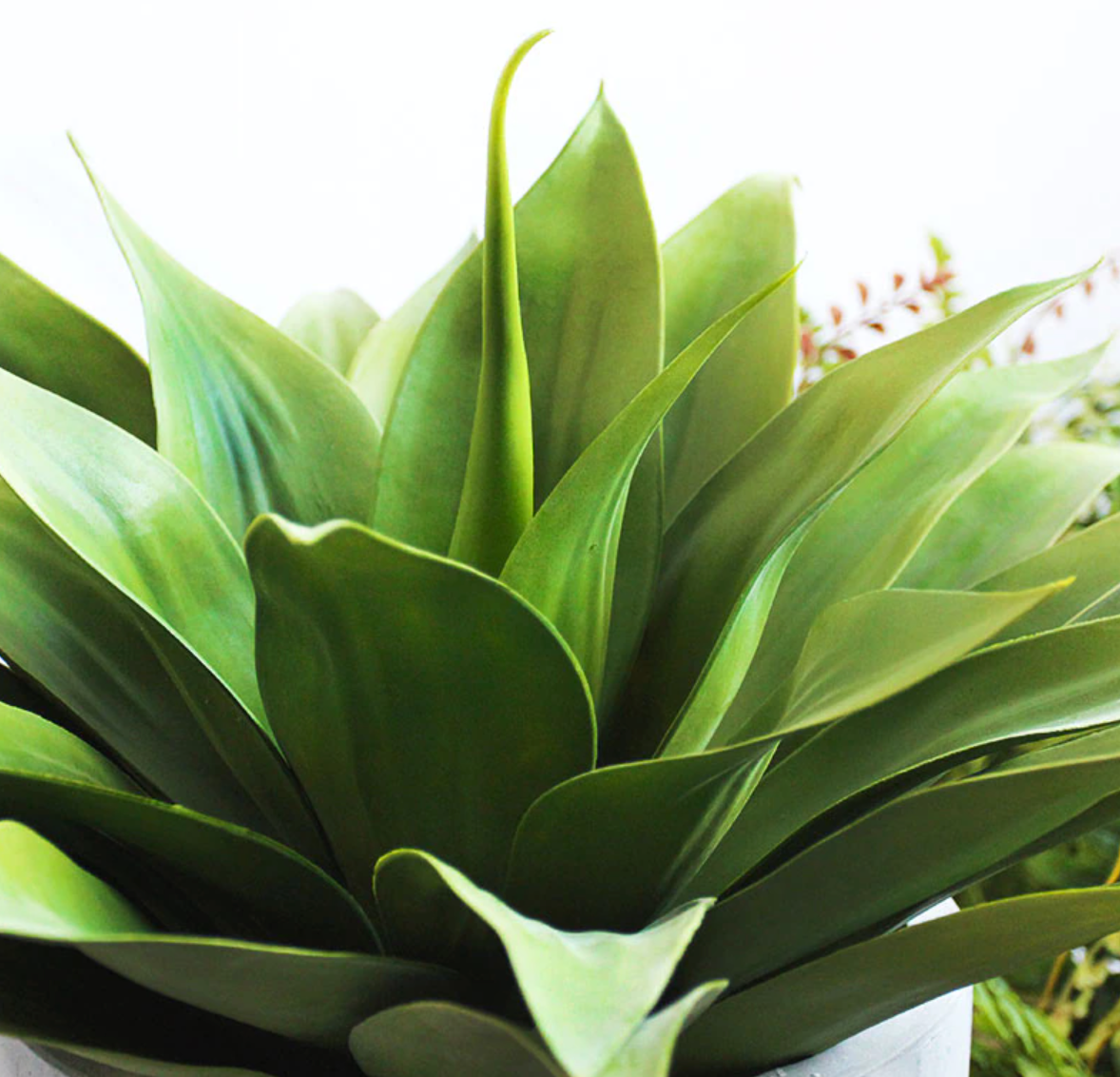 Faux Agave Plant