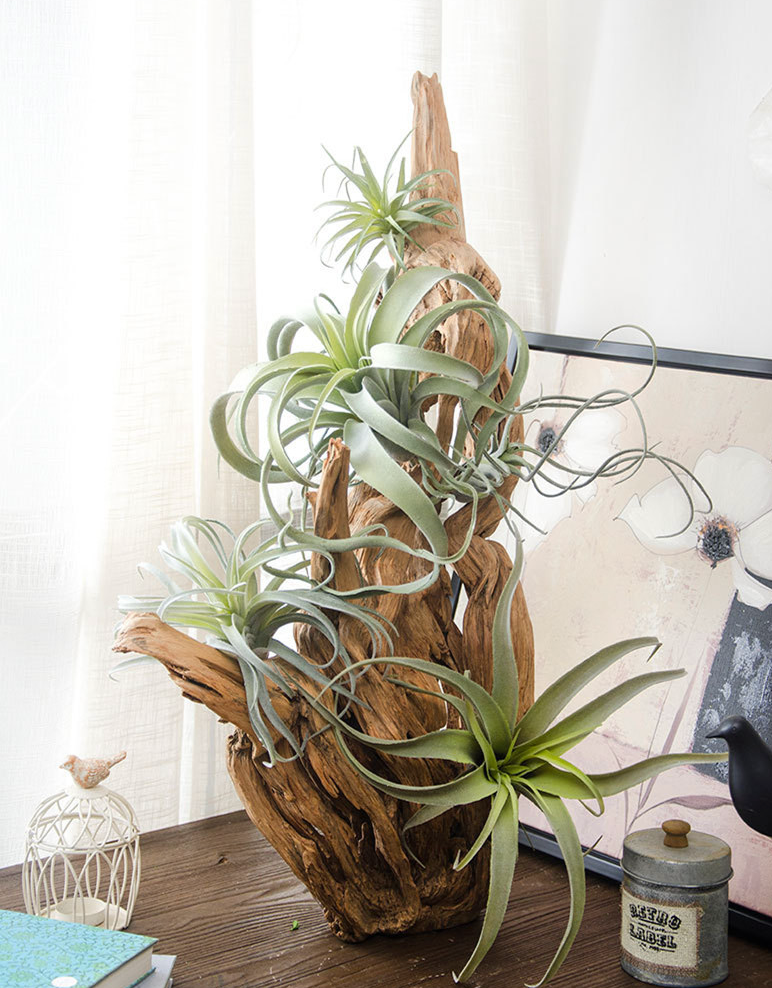 Faux Air Plant