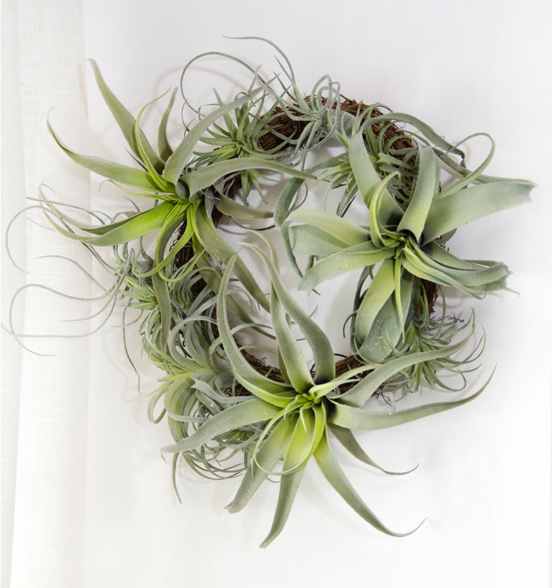 Faux Air Plant