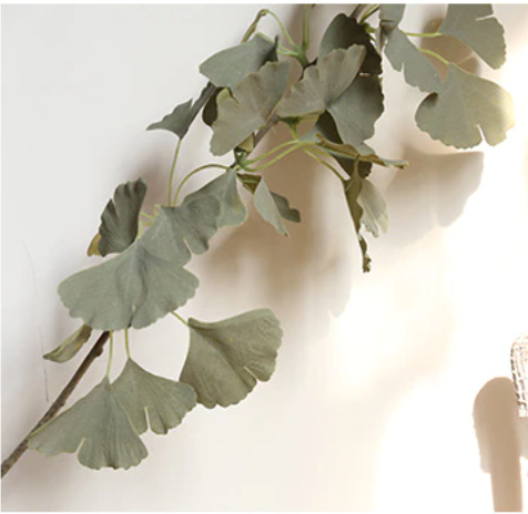 Green Ginkgo Leaf Stem