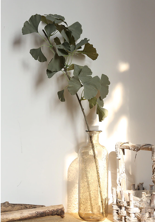 Green Ginkgo Leaf Stem