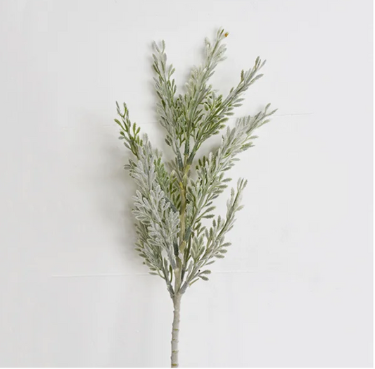 Frosted Cypress Stem