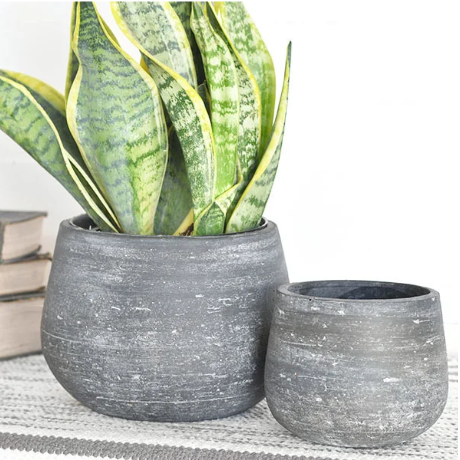 Charcoal Modern Cement Planters