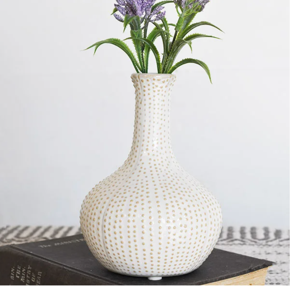 Sand Dollar Vases