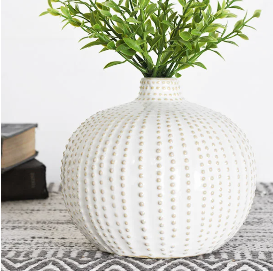 Sand Dollar Vases