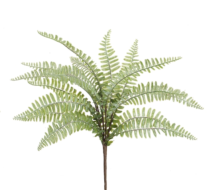 Fern Bush Pick