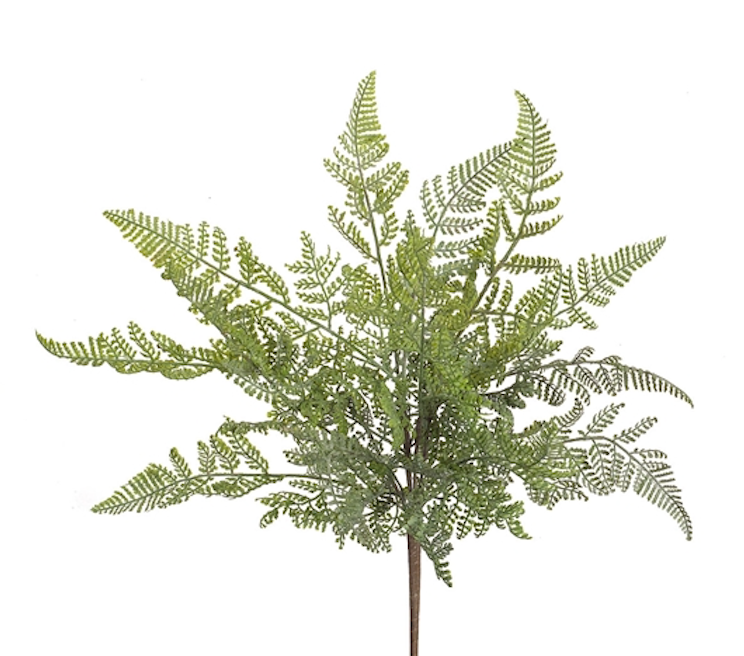 Fern Bush Pick