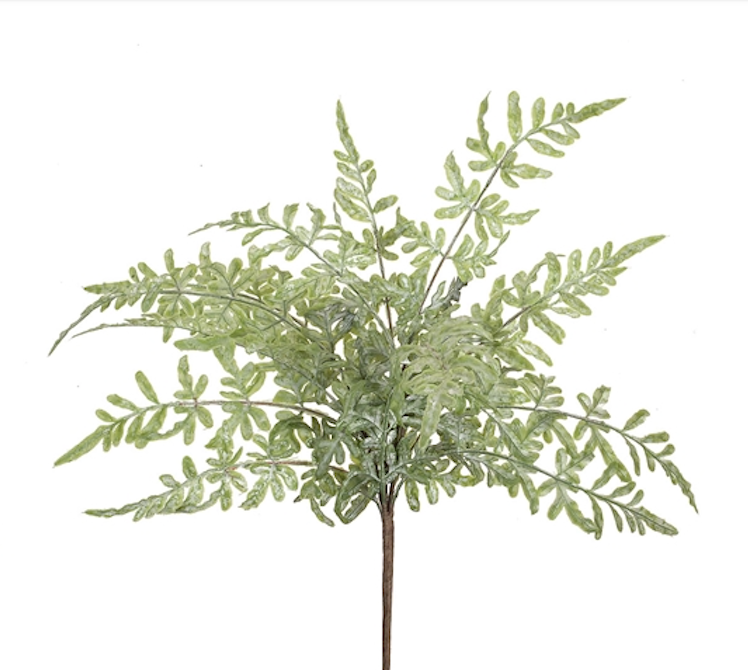 Fern Bush Pick