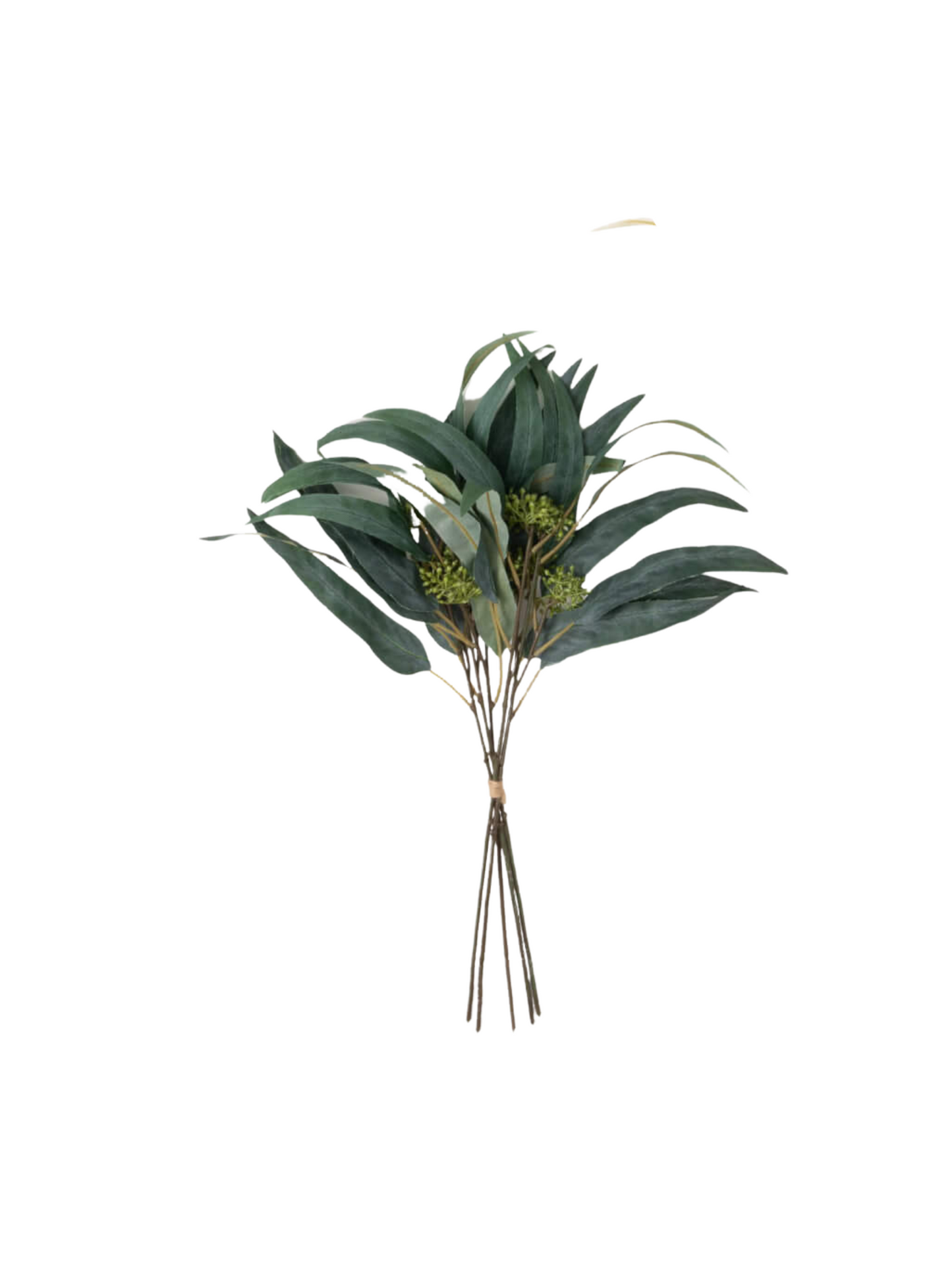 Blade Eucalyptus Bundle