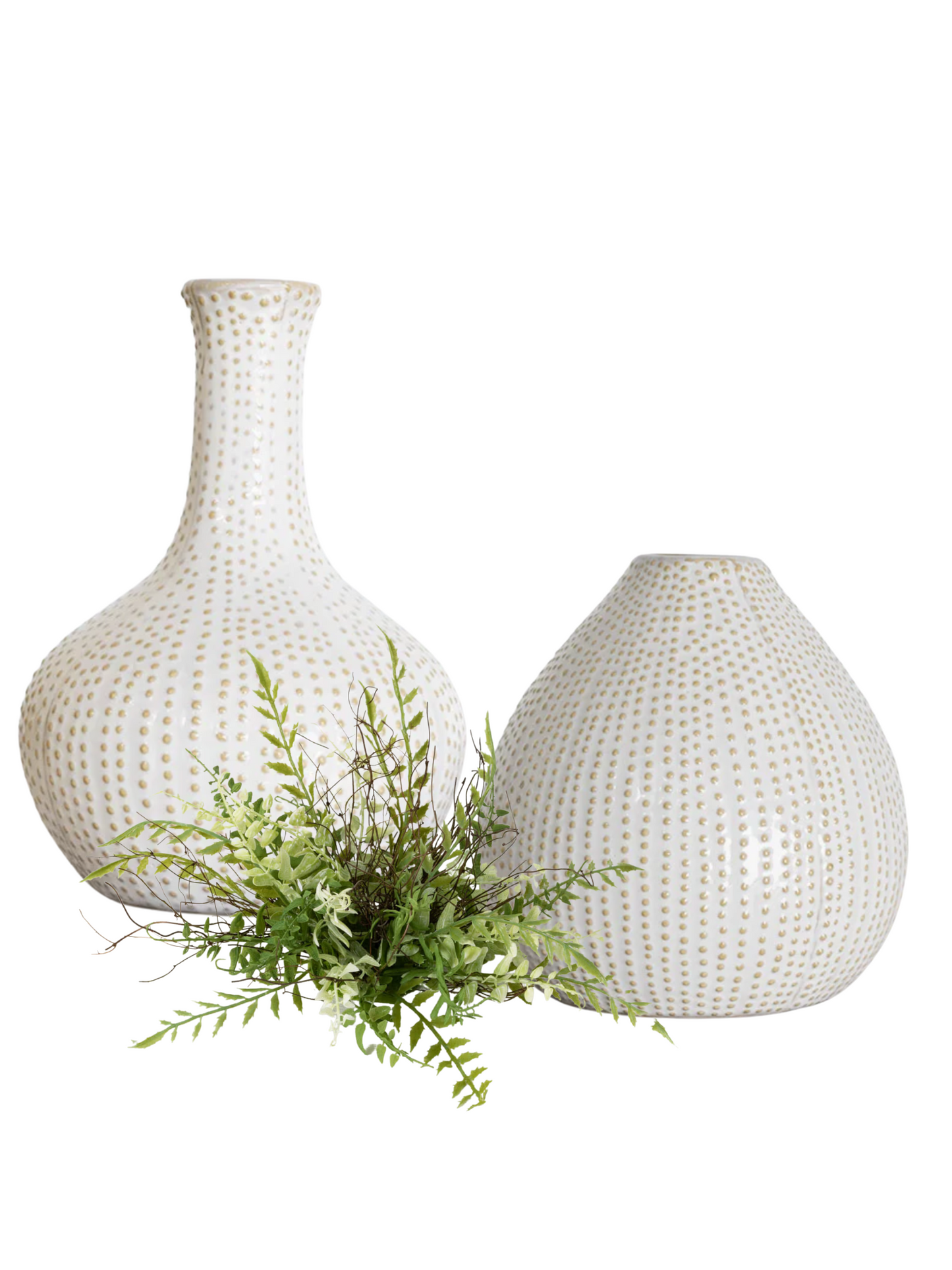Sand Dollar Vases