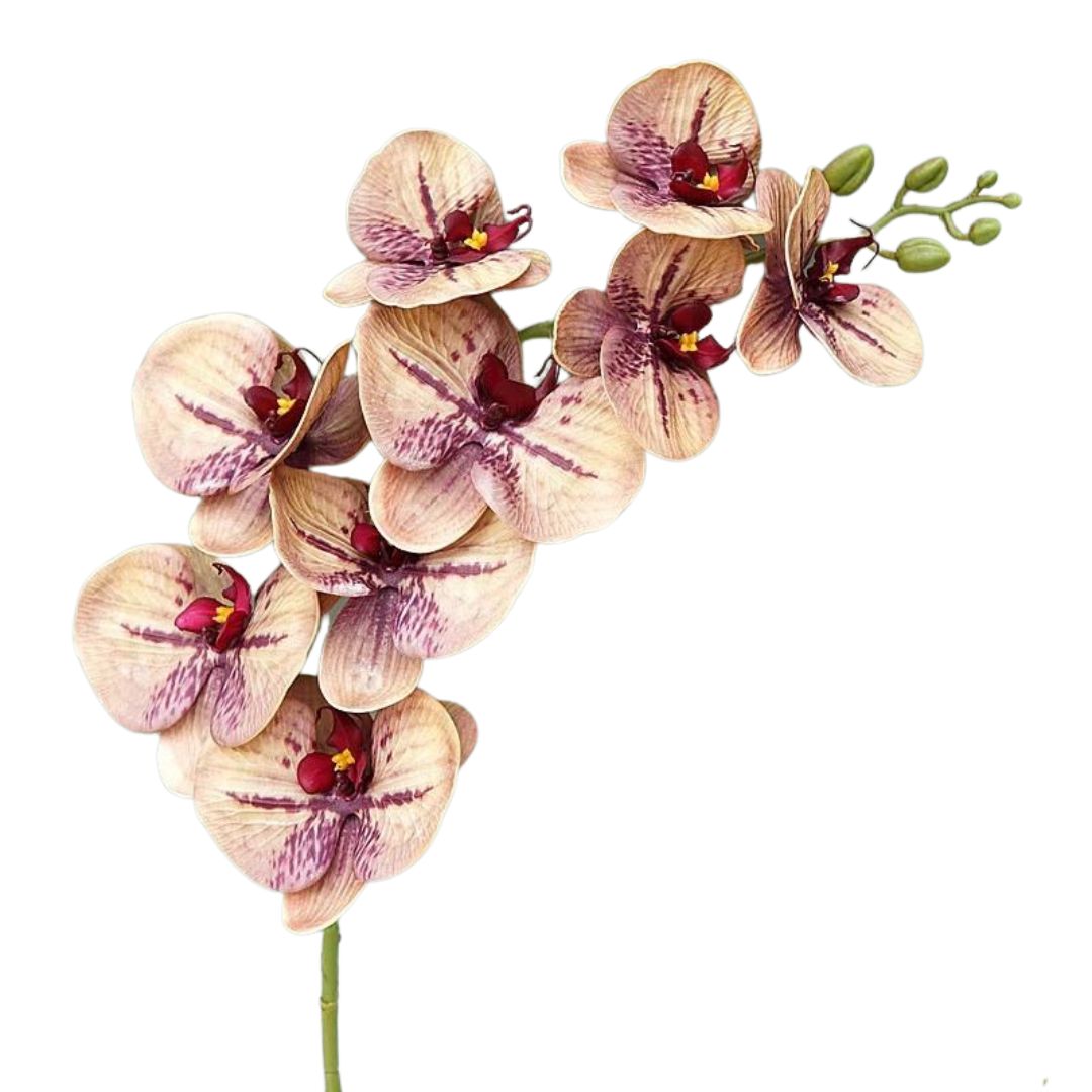 Faux Real-Touch Orchid Stem