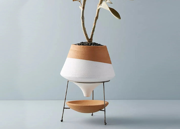 Terracotta Funnel Planter