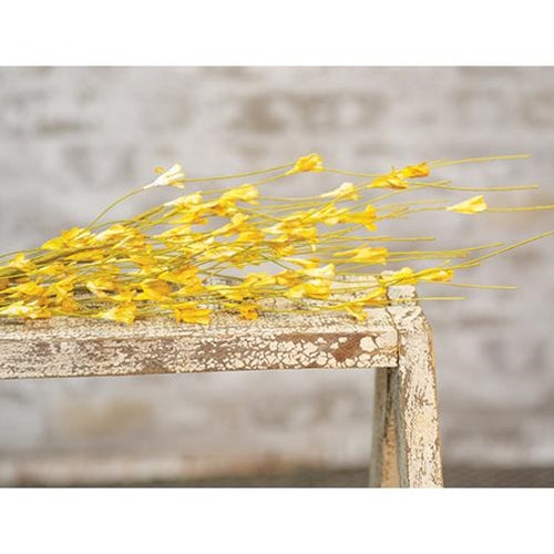 Yellow Flower Branch