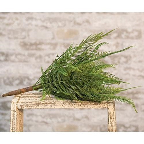 Deer Fern Bush