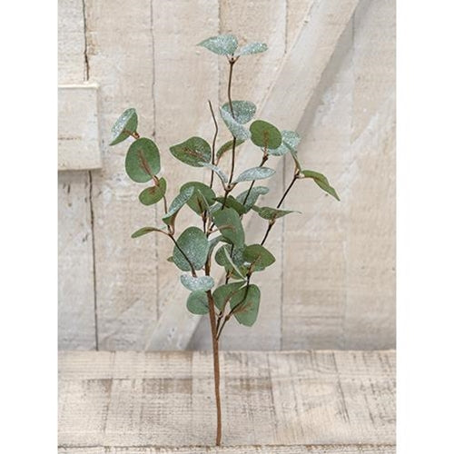 Snowy Eucalyptus Pick