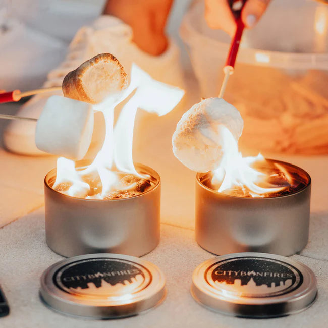 Portable S'mores and Fire Pit