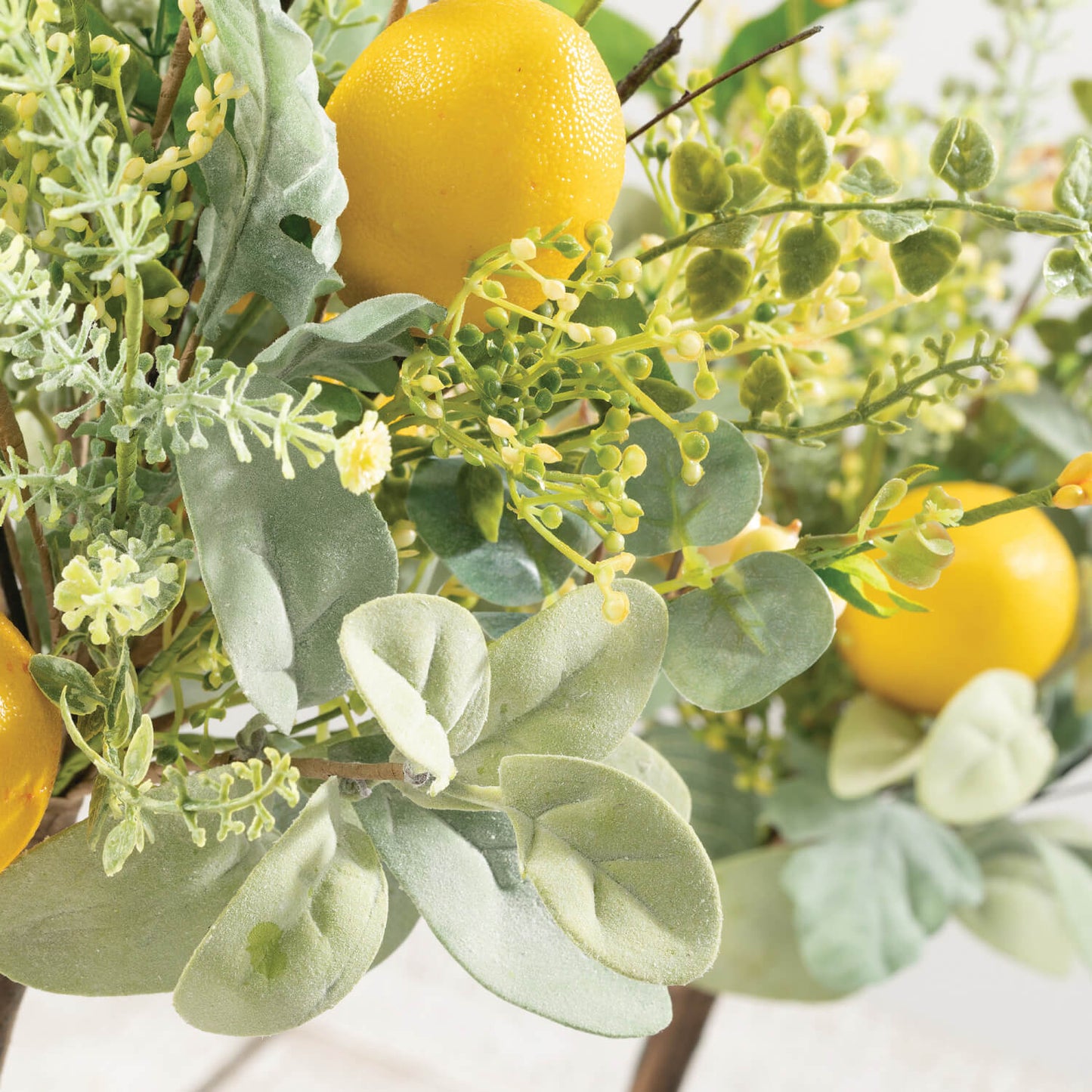 Eucalyptus Lemon Potted Topiaries