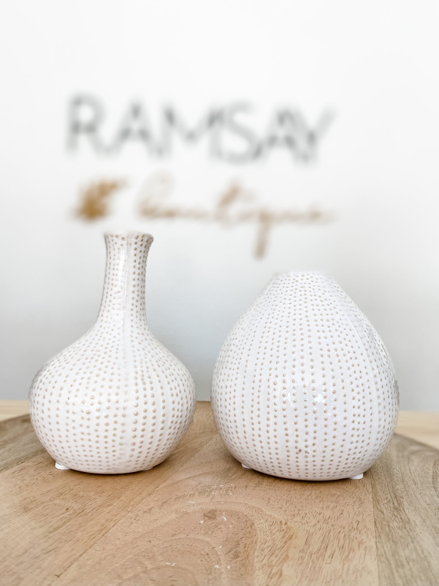 Sand Dollar Vases