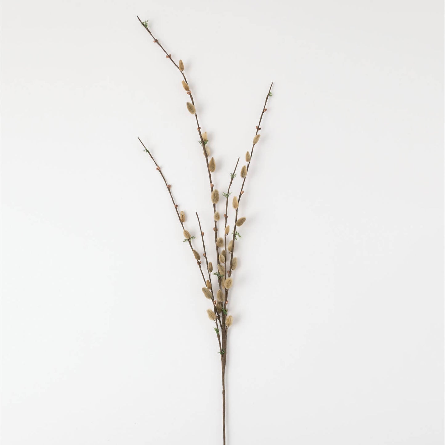 Pussywillow Spray