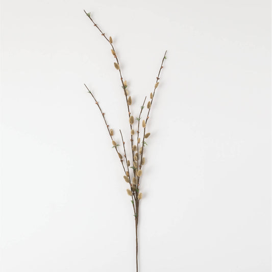 Pussywillow Spray