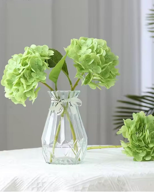 Green Hydrangea Stem