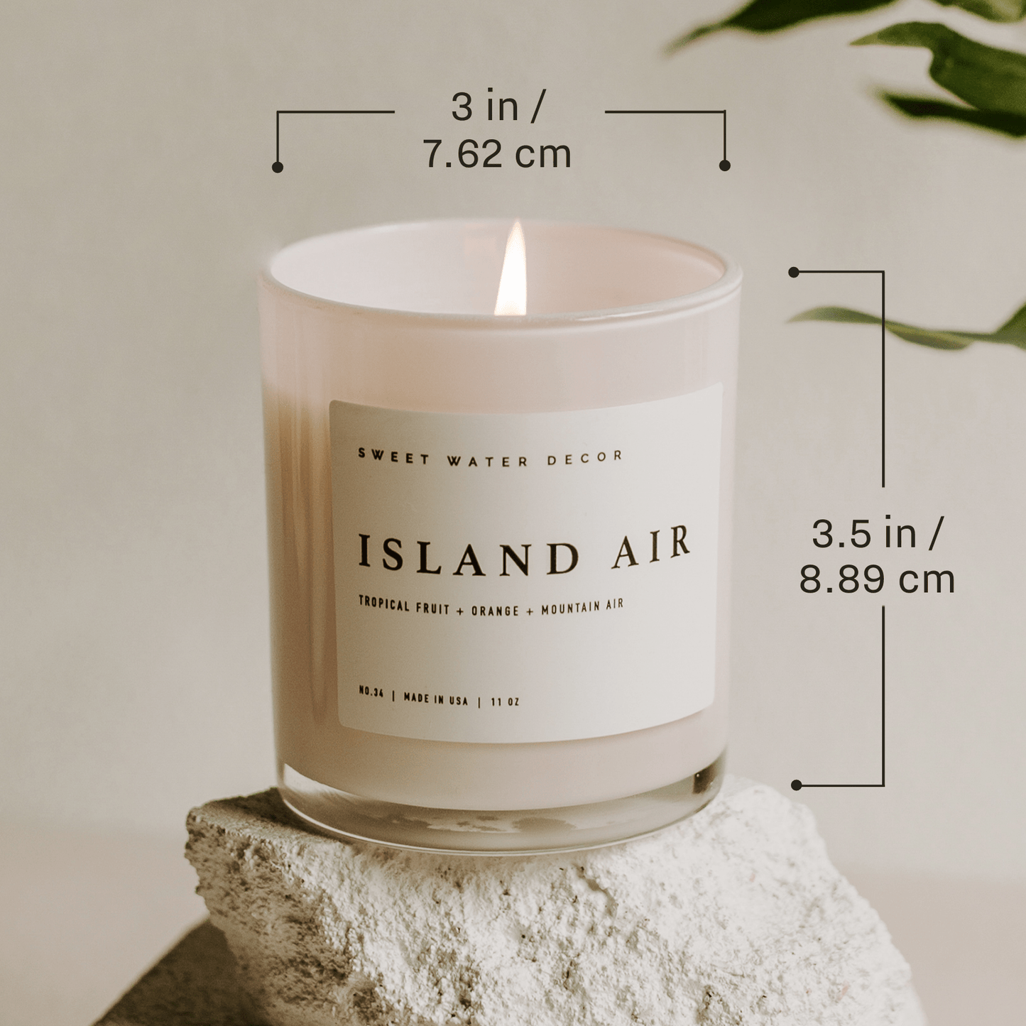 Salt and Sea Soy Candle (ONLINE EXCLUSIVE)