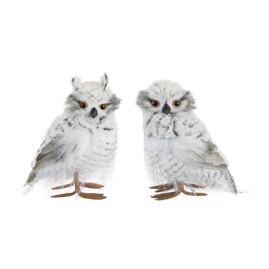 White Fur Owl
