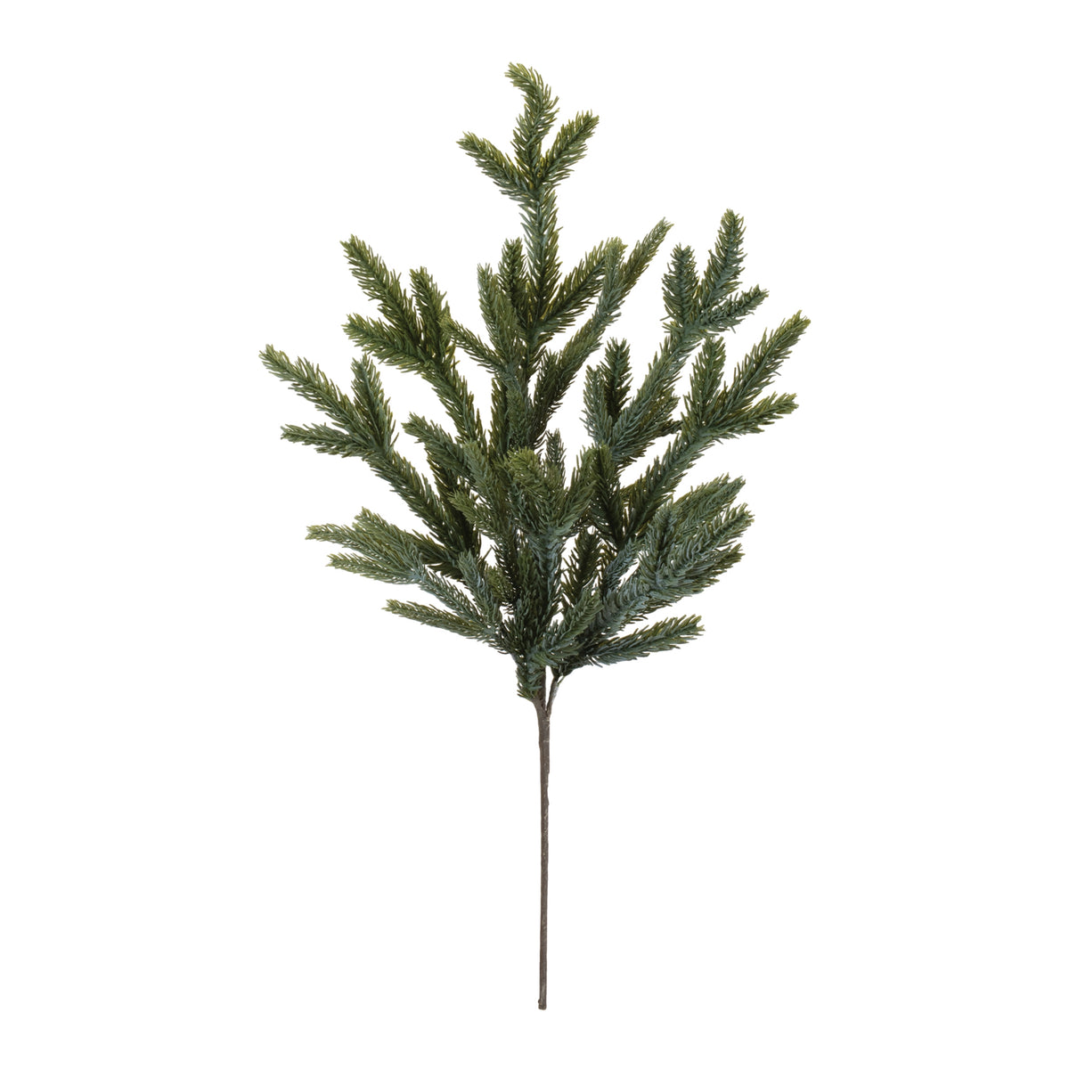 Spruce Spray