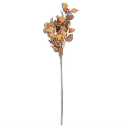 Orange & Brown Eucalyptus Stem