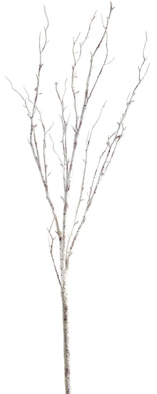 Birch Branch