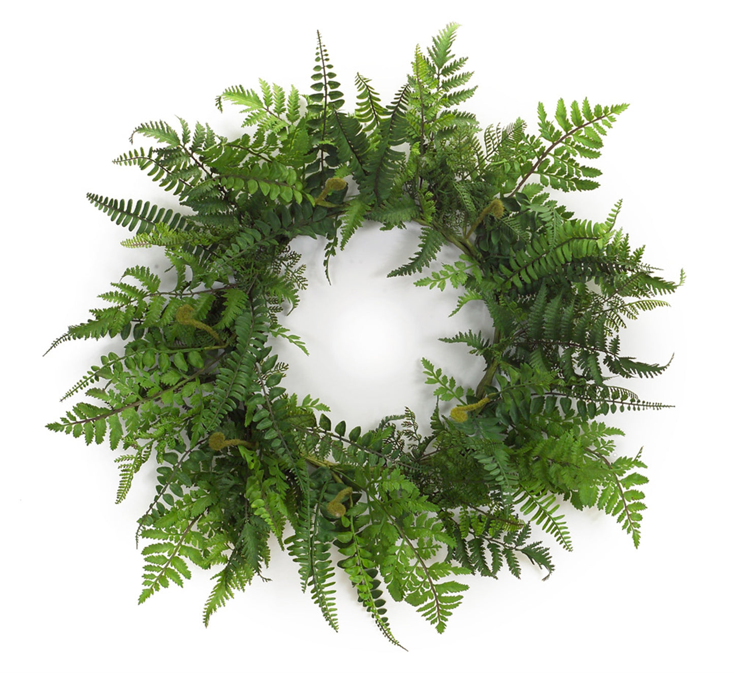 24in Fern Wreath