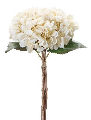 Hydrangea Bundle